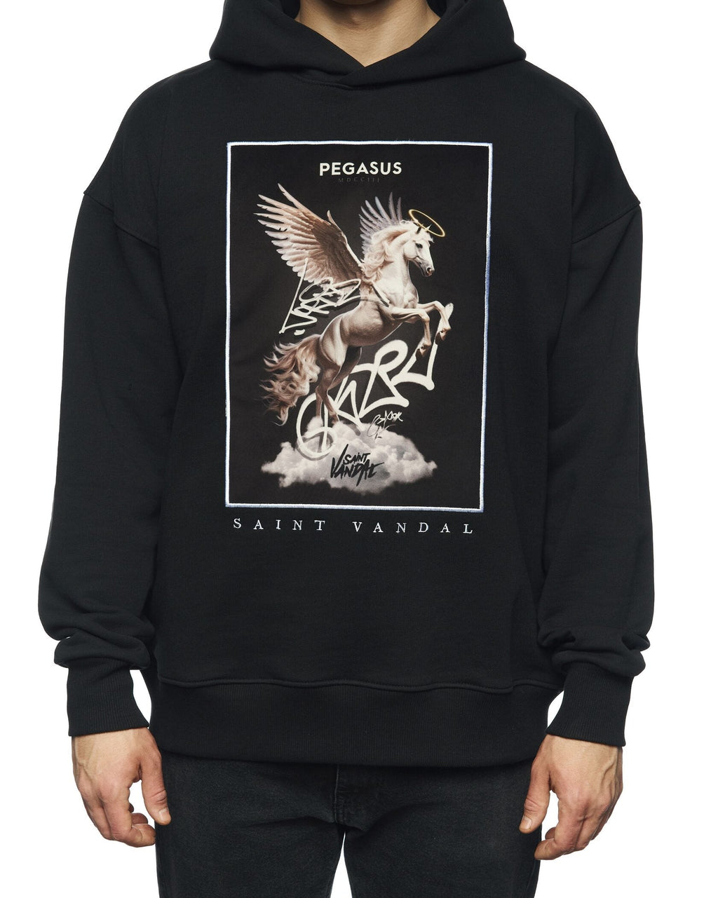 Hoodie “PEGASUS”