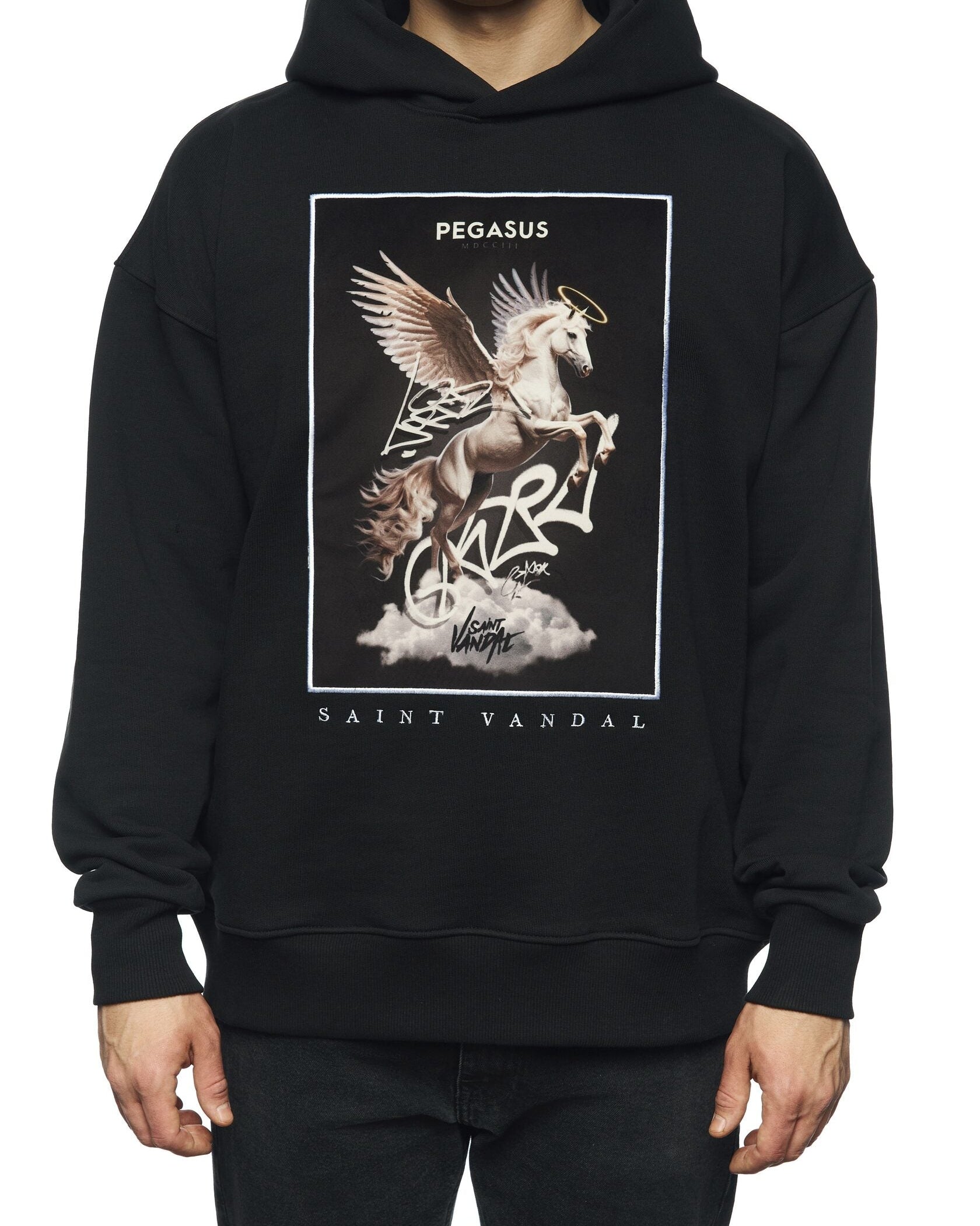 Hoodie “PEGASUS”