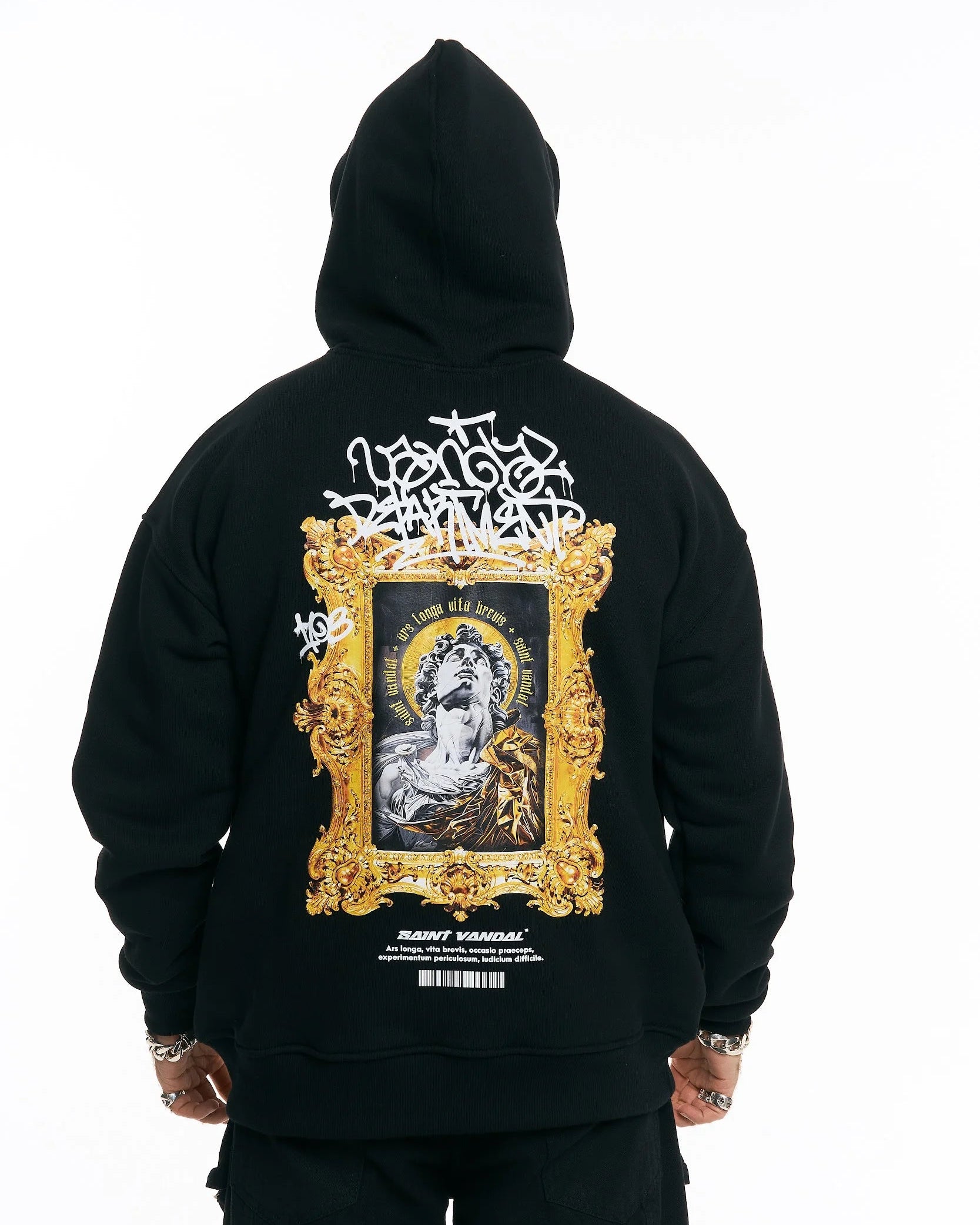 Hoodie “ARS LONGA, VITA BREVIS” (Back Print)