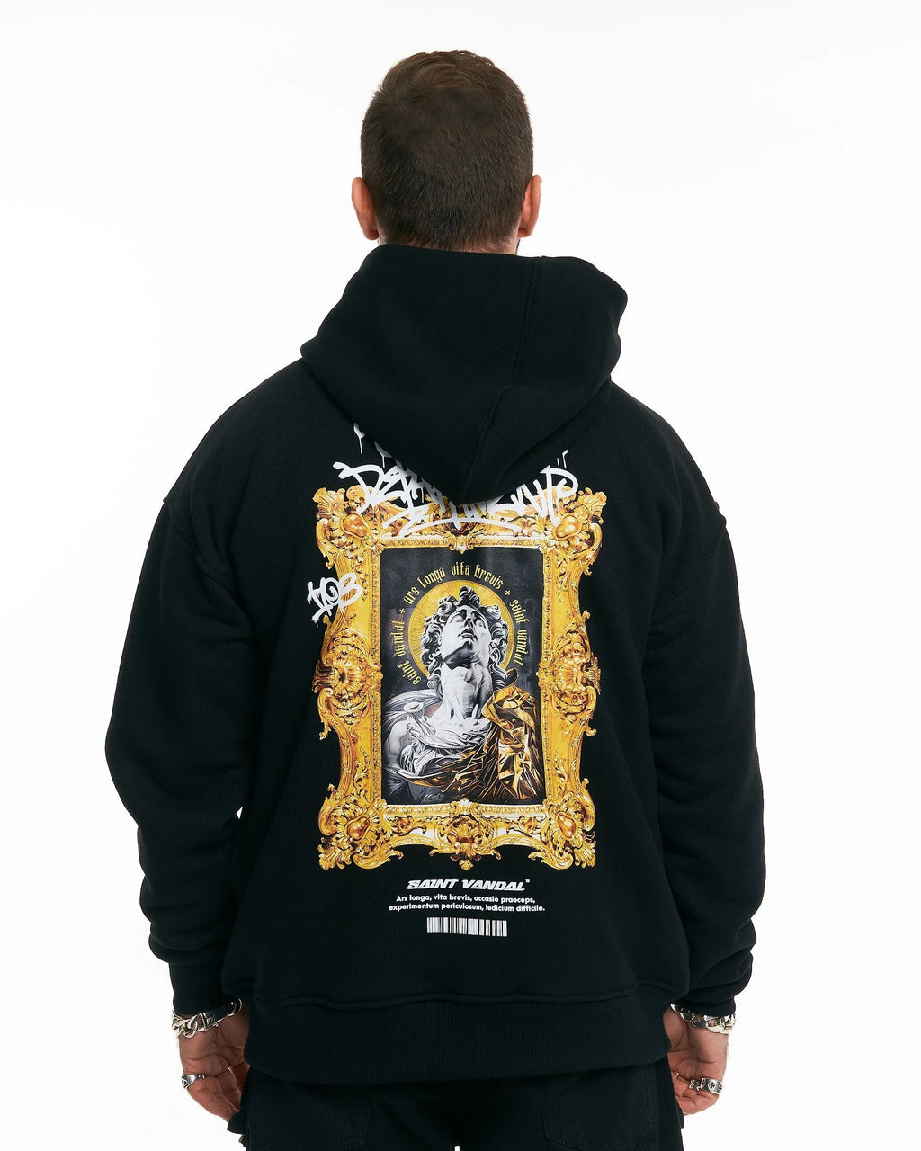 Hoodie “ARS LONGA, VITA BREVIS” (Back Print)