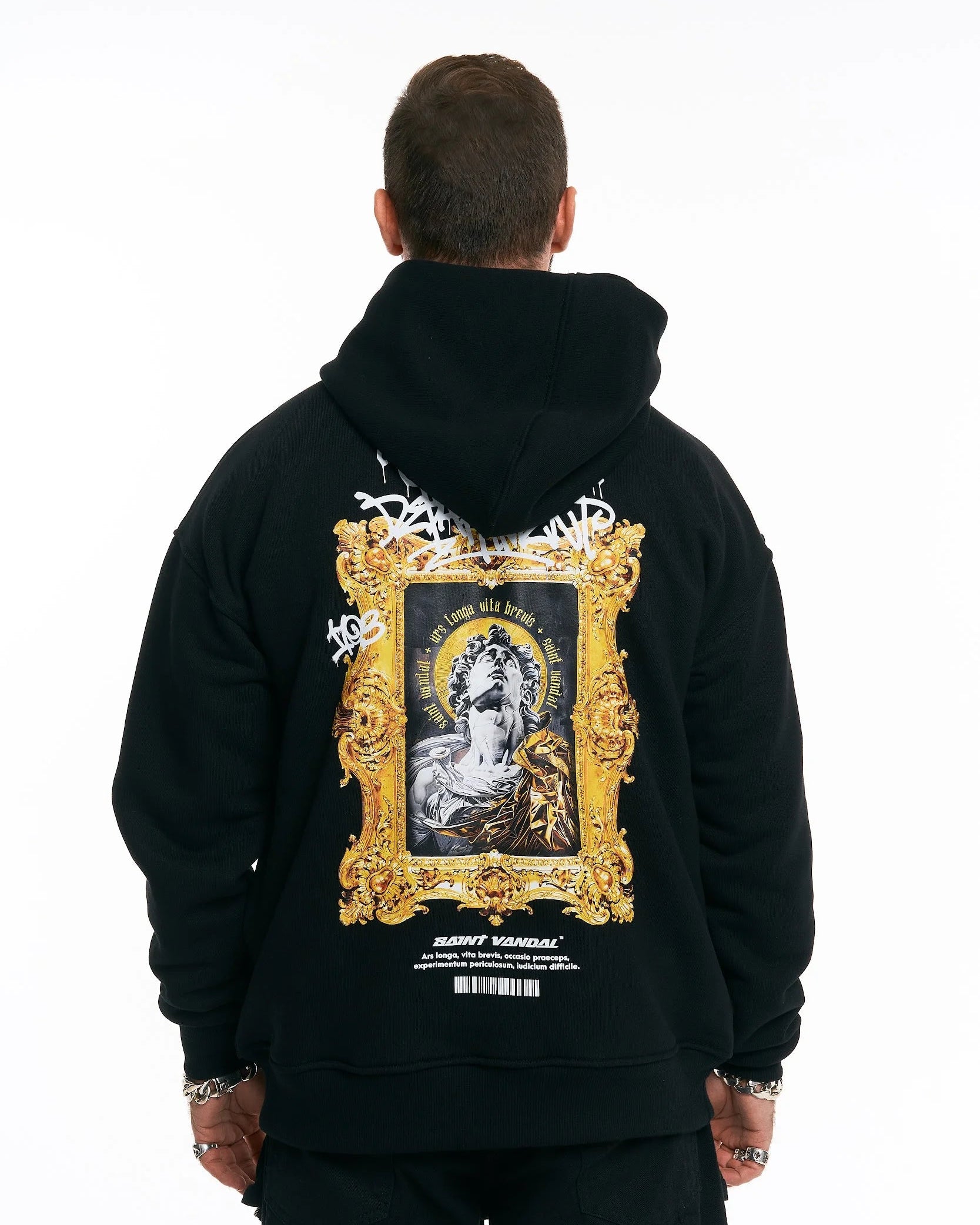 Hoodie “ARS LONGA, VITA BREVIS” (Back Print)