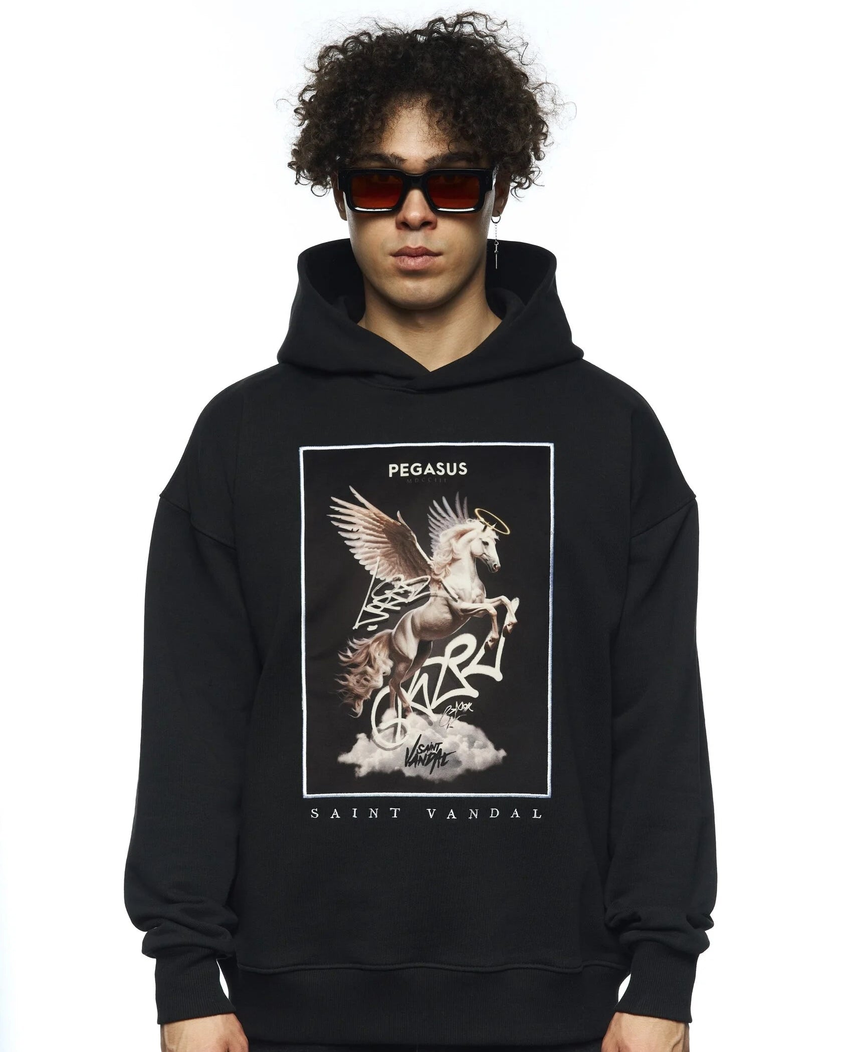 Hoodie “PEGASUS”