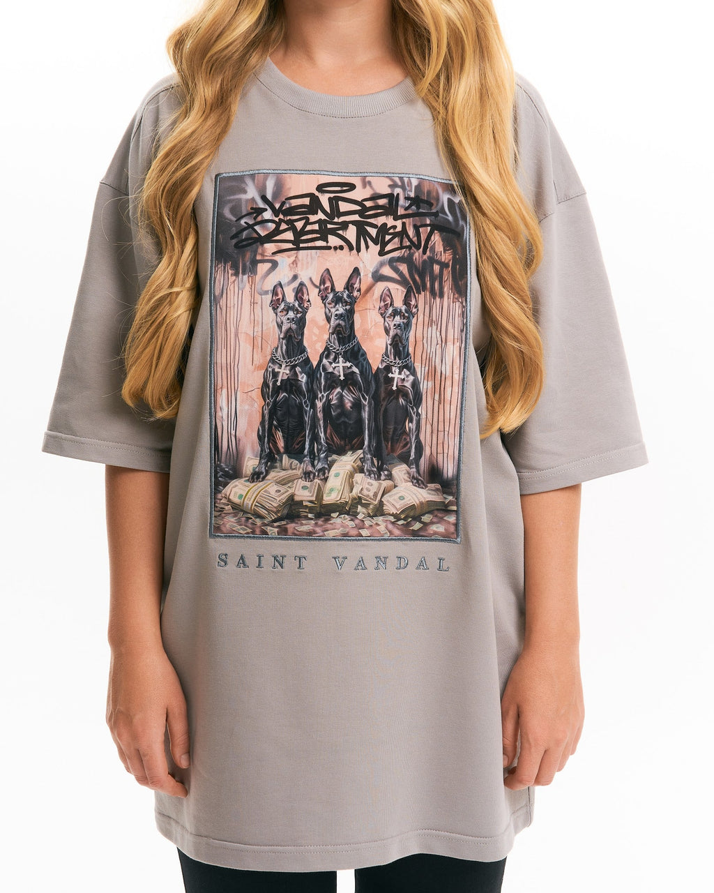 T-shirt “Capital Is Protected” Grey